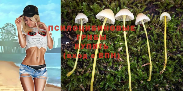 стафф Абаза