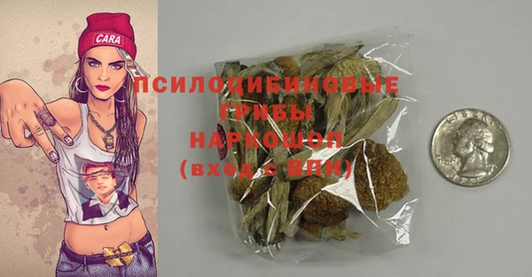 стафф Абаза